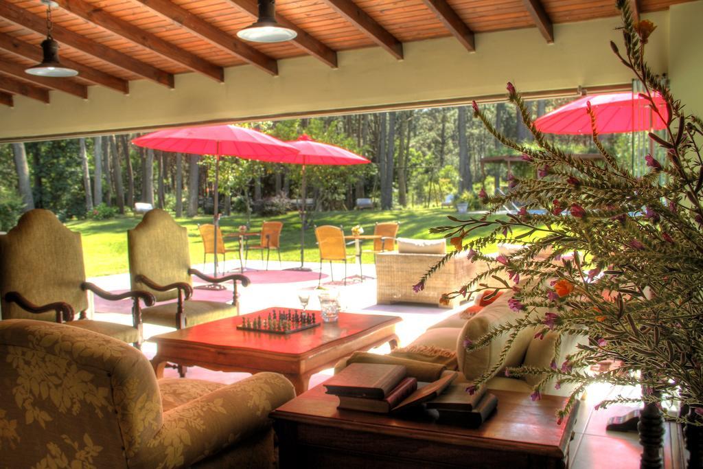 Neike Boutique Hotel Maldonado Ngoại thất bức ảnh